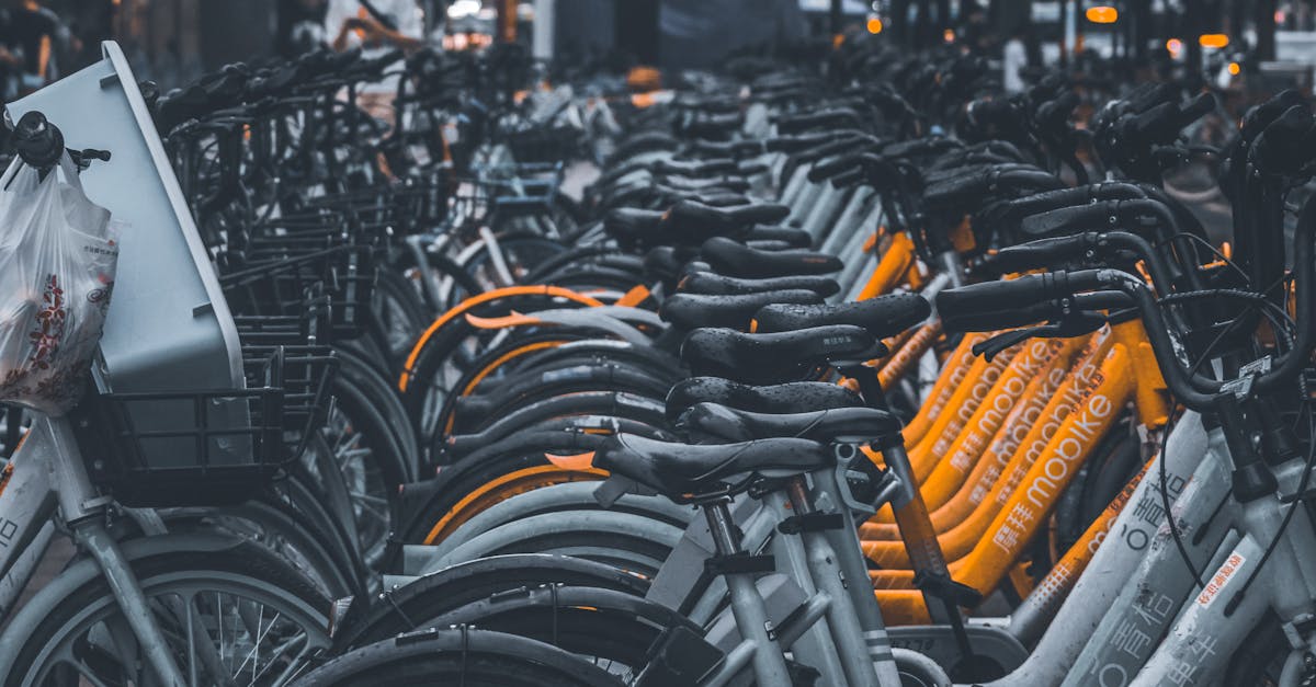 A Beginner's Guide to Electric Bike Maintenance