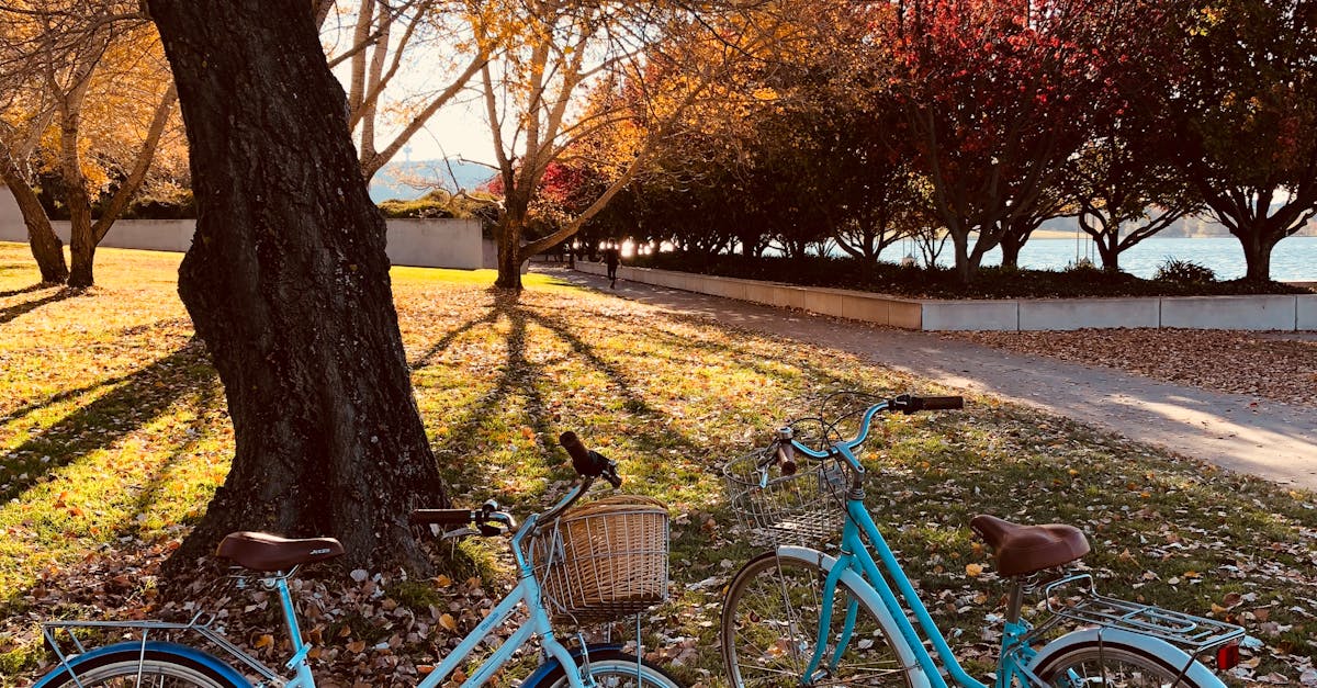 A Guide to the Best Folding Bikes on the Market