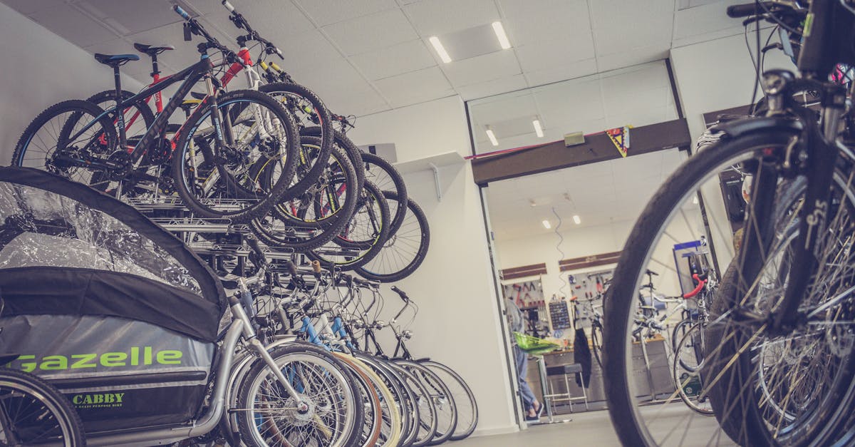 Comparing Electric Bike Models for Performance