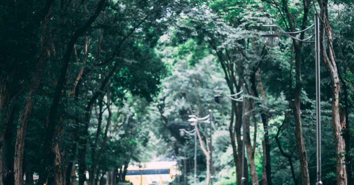 Enhancing Your Electric Bike's Performance: Tips and Tricks