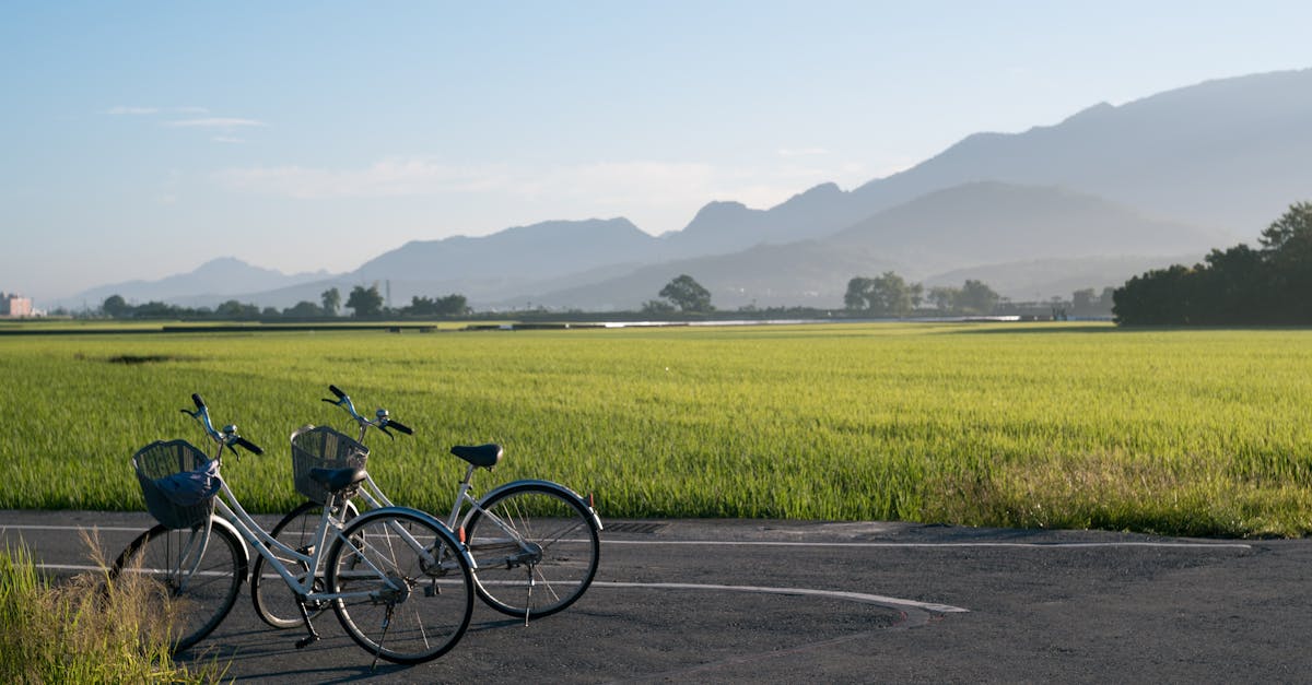 Strategies for Navigating Busy Urban Environments Safely