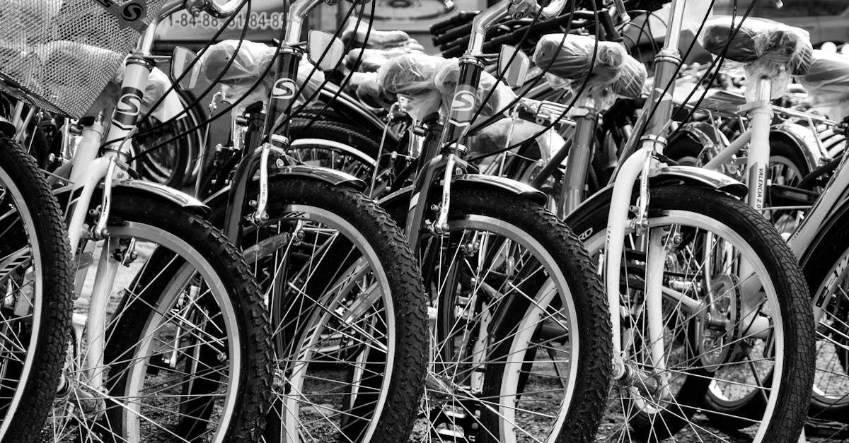 The Environmental Benefits of Electric Biking
