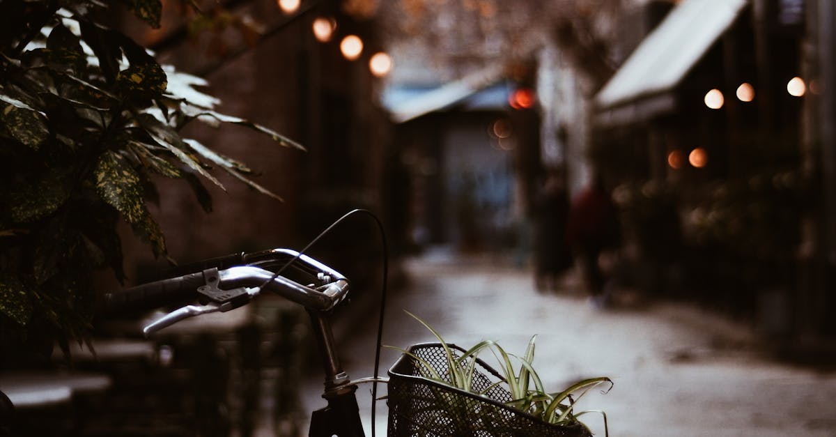 Tips for Maintaining Your Folding Bike's Mechanisms