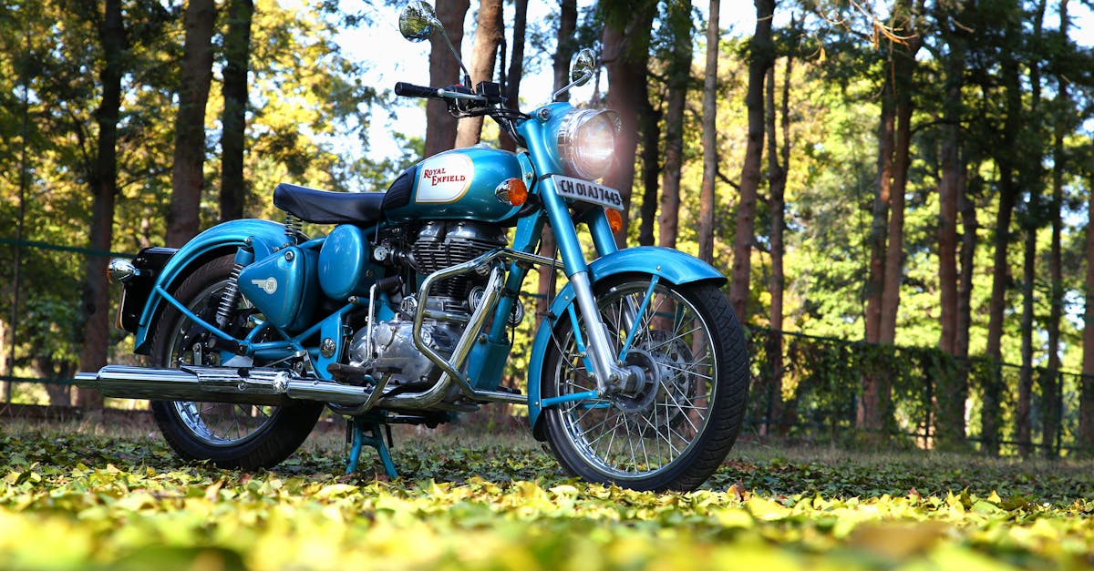 Top Hybrid Bike Models for Urban Riders